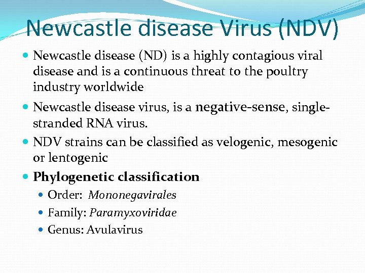 Newcastle disease Virus (NDV) Newcastle disease (ND) is a highly contagious viral disease and