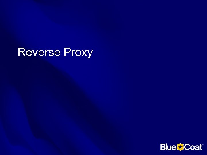 Reverse Proxy 