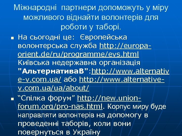 Міжнародні партнери допоможуть у міру можливого віднайти волонтерів для роботи у таборі. n n