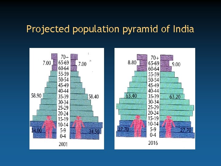 Projected population pyramid of India 