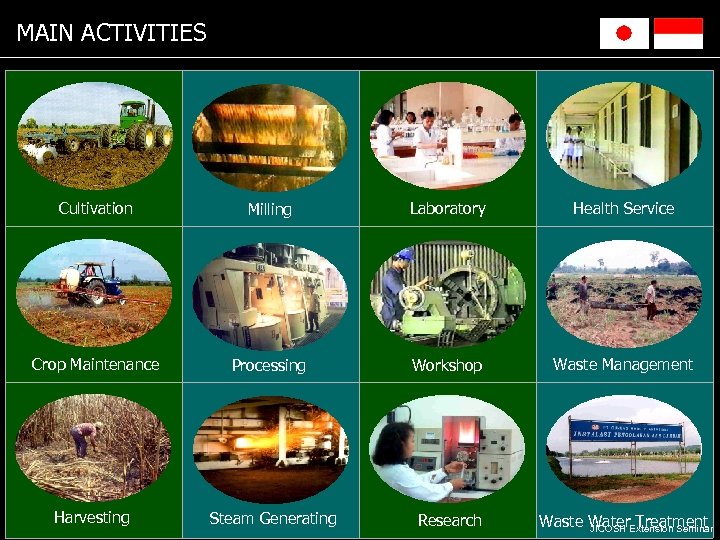 MAIN ACTIVITIES Cultivation Milling Laboratory Health Service Crop Maintenance Processing Workshop Waste Management Harvesting