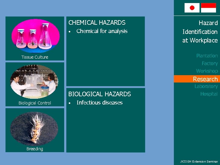 CHEMICAL HAZARDS • Chemical for analysis Hazard Identification at Workplace Plantation Tissue Culture Factory