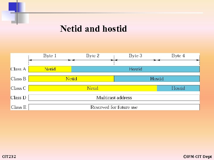 Netid and hostid CIT 232 ©IFM-CIT Dept 