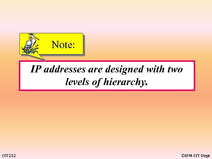 Note: IP addresses are designed with two levels of hierarchy. CIT 232 ©IFM-CIT Dept