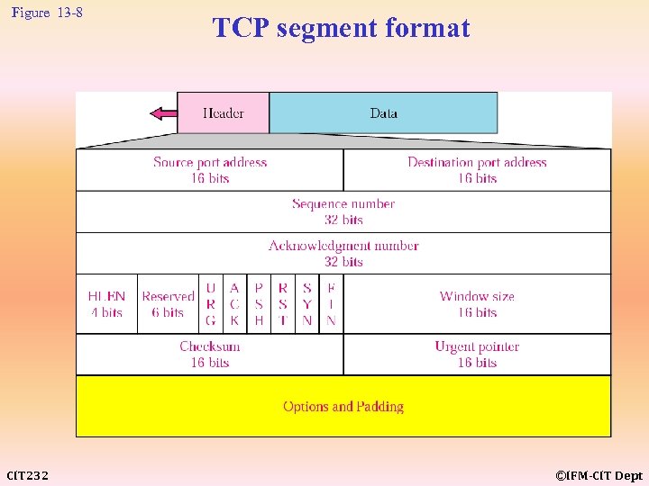 Figure 13 -8 CIT 232 TCP segment format ©IFM-CIT Dept 