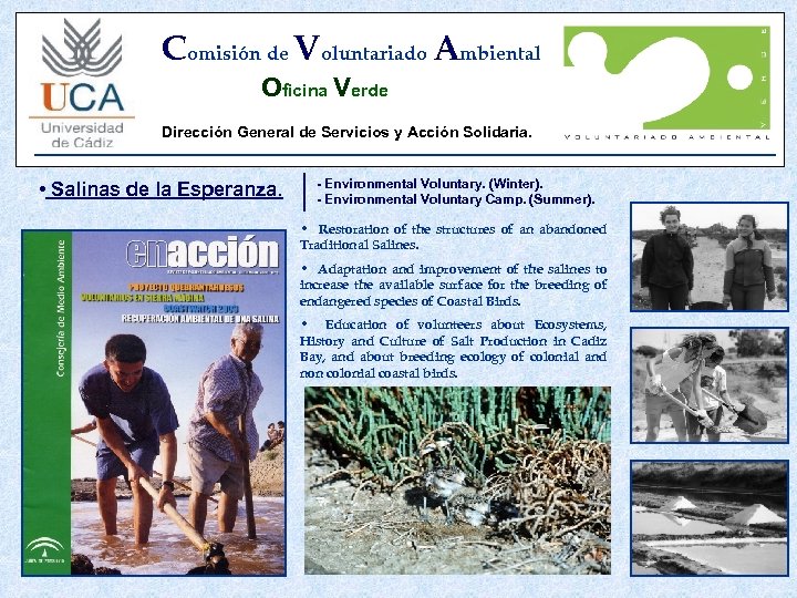 Comisión de Voluntariado Ambiental Oficina Verde Dirección General de Servicios y Acción Solidaria. •