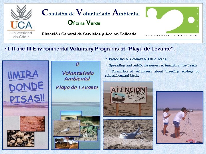 Comisión de Voluntariado Ambiental Oficina Verde Dirección General de Servicios y Acción Solidaria. •