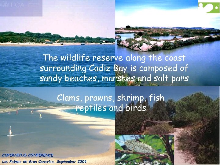 The wildlife reserve along the coast surrounding Cadiz Bay is composed of sandy beaches,