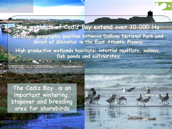 The wetlands of Cadiz Bay extend over 10. 000 Ha Strategic geographic position between