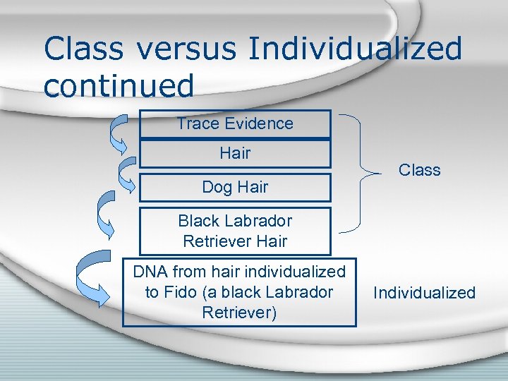 Class versus Individualized continued Trace Evidence Hair Dog Hair Class Black Labrador Retriever Hair