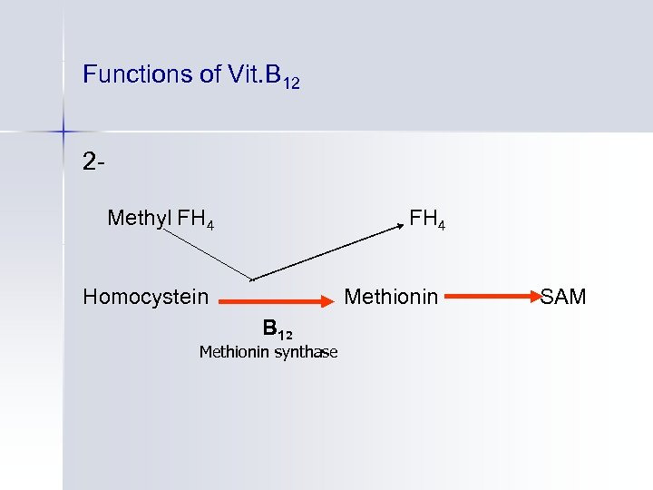 Functions of Vit. B 12 2 Methyl FH 4 Homocystein Methionin B 12 Methionin