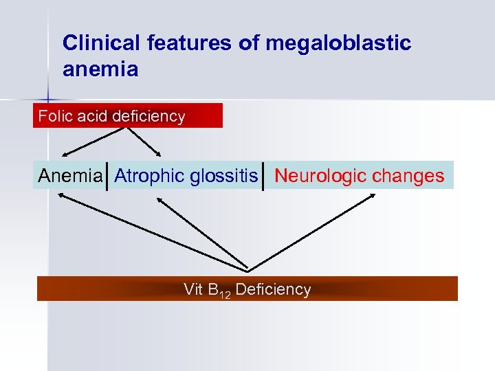 Clinical features of megaloblastic anemia Folic acid deficiency Anemia Atrophic glossitis Neurologic changes Vit