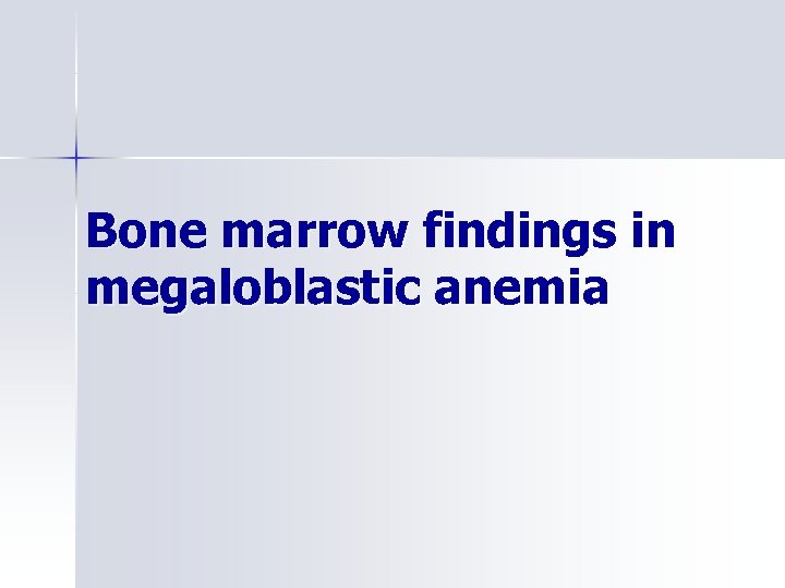 Bone marrow findings in megaloblastic anemia 