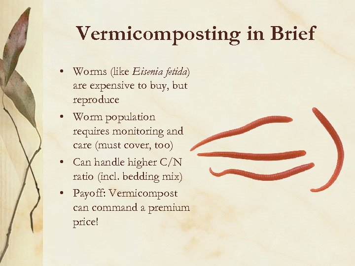 Vermicomposting in Brief • Worms (like Eisenia fetida) are expensive to buy, but reproduce