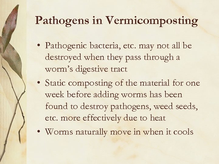 Pathogens in Vermicomposting • Pathogenic bacteria, etc. may not all be destroyed when they