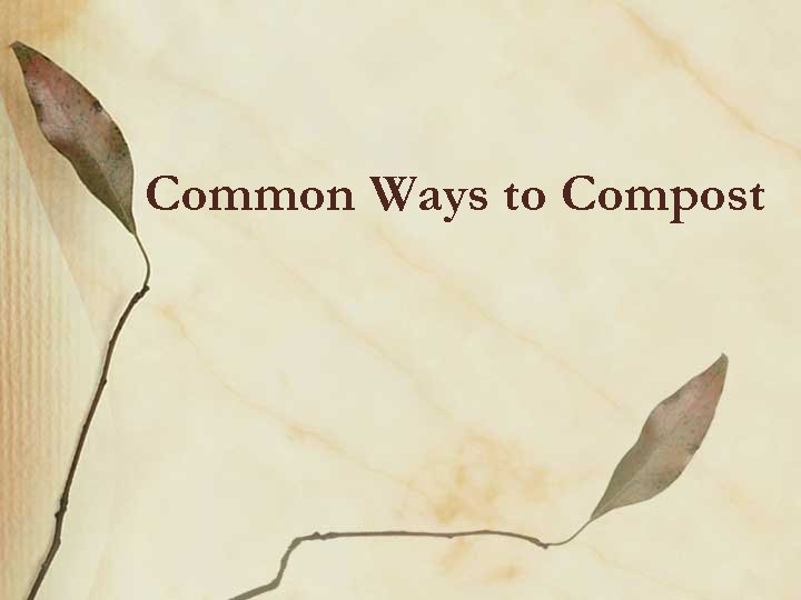 Common Ways to Compost 
