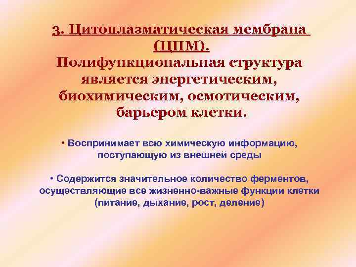 3. Цитоплазматическая мембрана (ЦПМ). Полифункциональная структура является энергетическим, биохимическим, осмотическим, барьером клетки. • Воспринимает