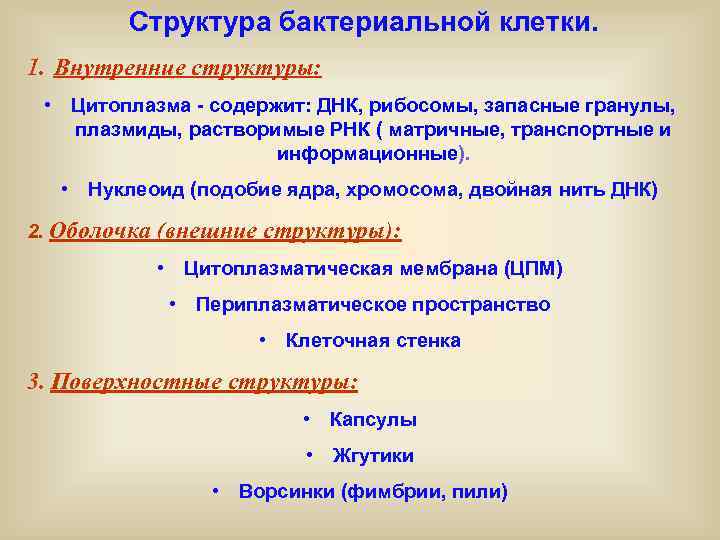Структура бактериальной клетки. 1. Внутренние структуры: • Цитоплазма - содержит: ДНК, рибосомы, запасные гранулы,