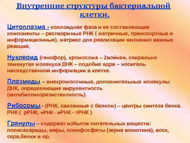 Внутренние структуры бактериальной клетки. Цитоплазма - коллоидная фаза и ее составляющие компоненты – растворимые