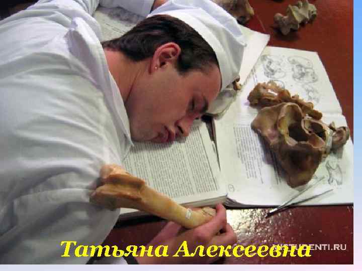 Татьяна Алексеевна 