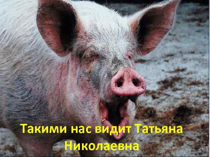 Такими нас видит Татьяна Николаевна 