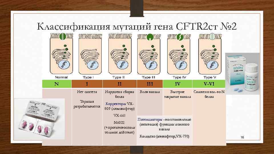 Классификация мутаций гена CFTR 2 ст № 2 N I II III Нет синтеза