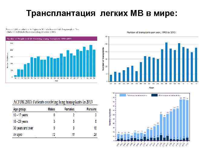 Стоимость Пересадки Легких