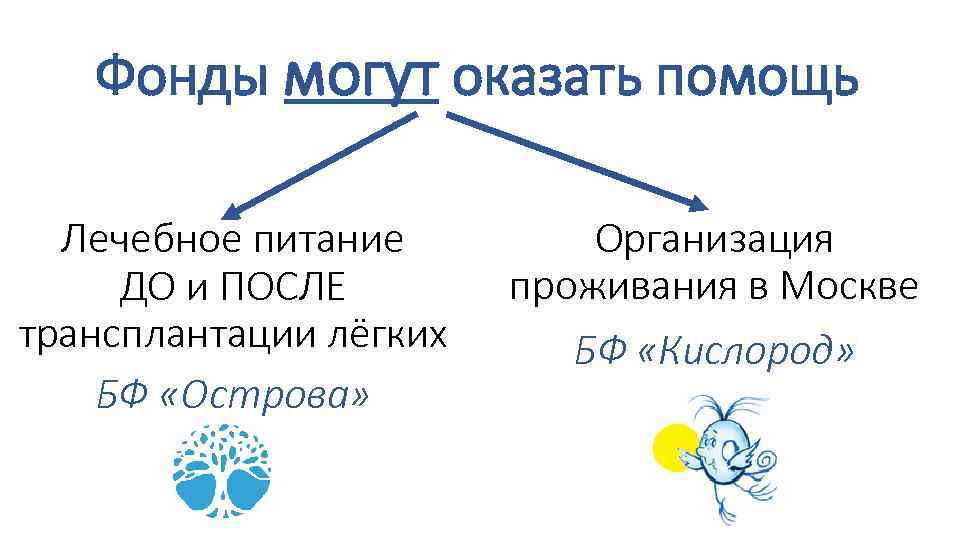 Фонды могут оказать помощь Лечебное питание ДО и ПОСЛЕ трансплантации лёгких БФ «Острова» Организация