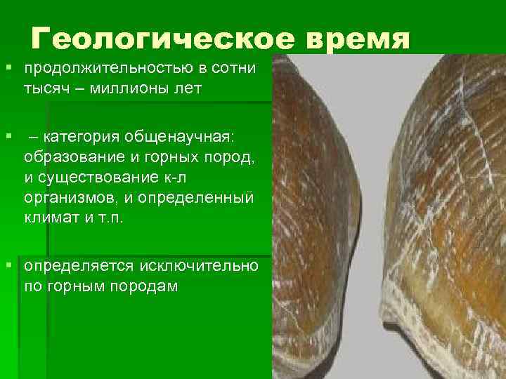 Геологическое время § продолжительностью в сотни тысяч – миллионы лет § – категория общенаучная: