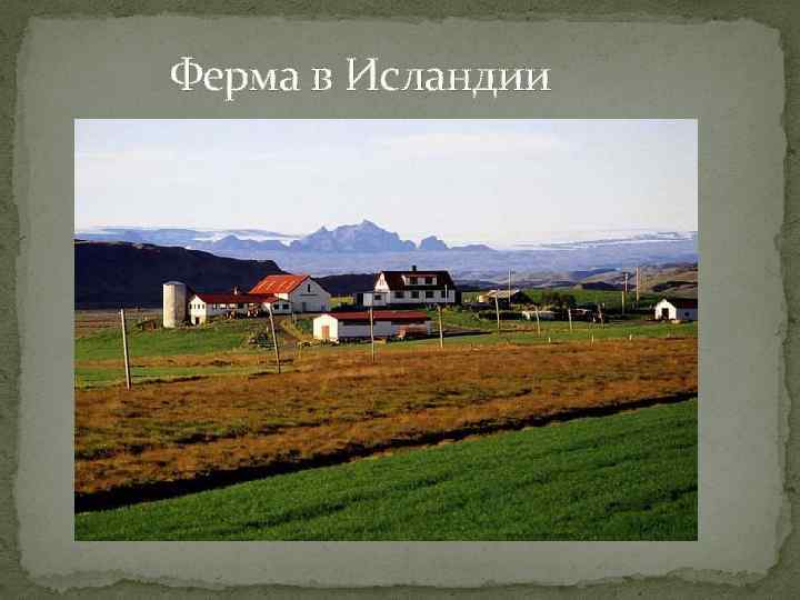 Ферма в Исландии 