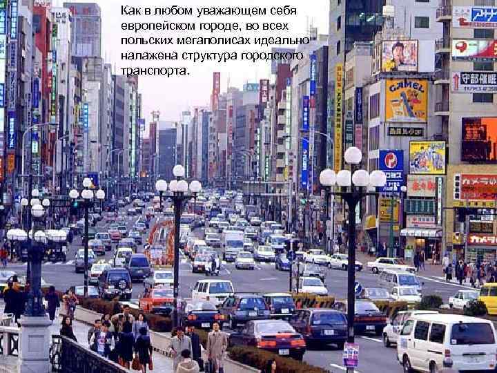 Как в любом уважающем себя европейском городе, во всех польских мегаполисах идеально налажена структура