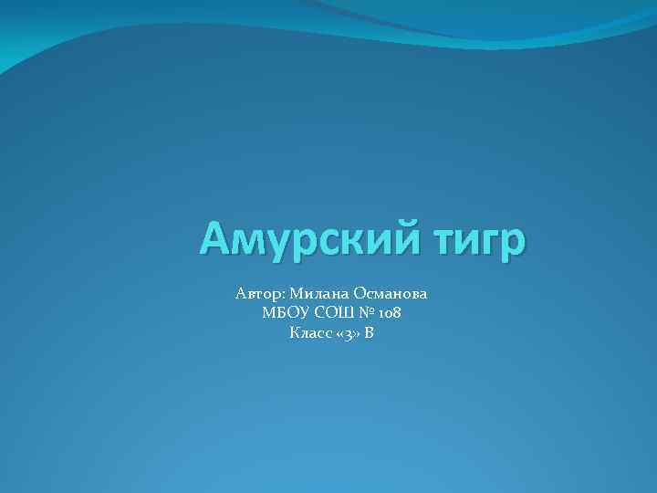 Амурский тигр Автор: Милана Османова МБОУ СОШ № 108 Класс « 3» В 