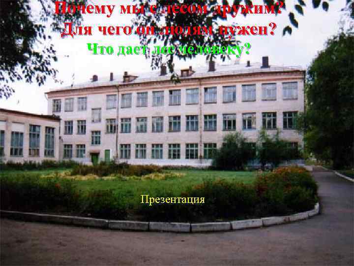 Почему мы с лесом дружим? Для чего он людям нужен? Что дает лес человеку?