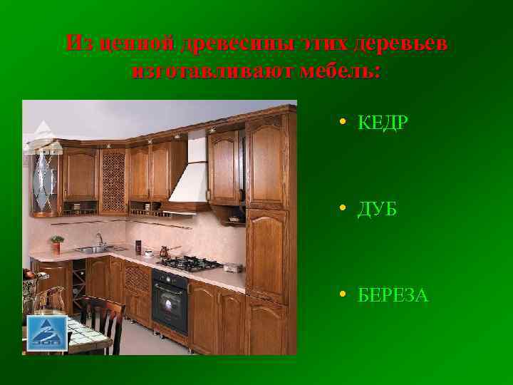 Из ценной древесины этих деревьев изготавливают мебель: • КЕДР • ДУБ • БЕРЕЗА 