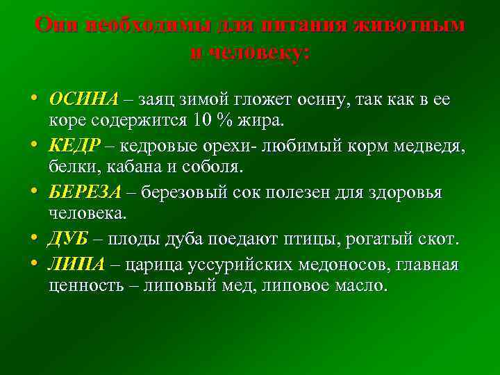 Они необходимы для питания животным и человеку: • ОСИНА – заяц зимой гложет осину,
