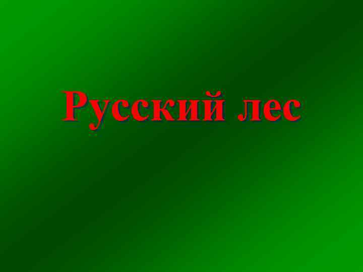 Русский лес 