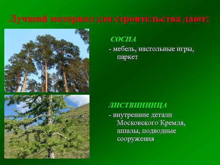 Лучший материал для строительства дают: СОСНА - мебель, настольные игры, паркет ЛИСТВИННИЦА - внутренние