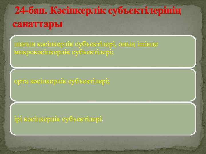  24 -бап. Кәсіпкерлік субъектілерінің санаттары шағын кәсіпкерлік субъектілері, оның ішінде микрокәсіпкерлік субъектілері; орта