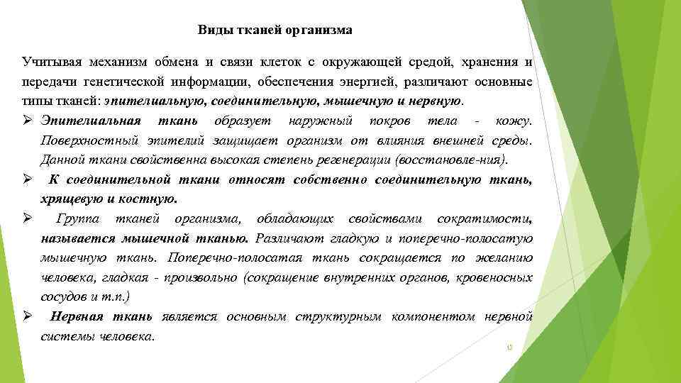 Виды тканей организма Учитывая механизм обмена и связи клеток с окружающей средой, хранения и
