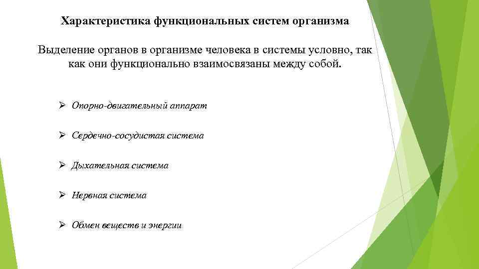 Характеристика функциональных систем организма Выделение органов в организме человека в системы условно, так как