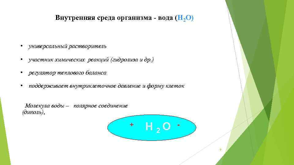 Внутренняя среда организма - вода (Н 2 О) • универсальный растворитель • участник химических