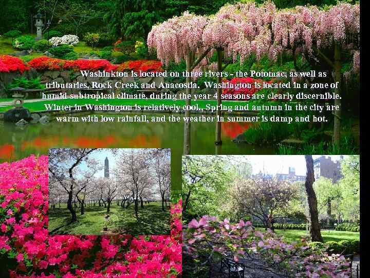 Washinkton is located on three rivers - the Potomac, as well as tributaries, Rock