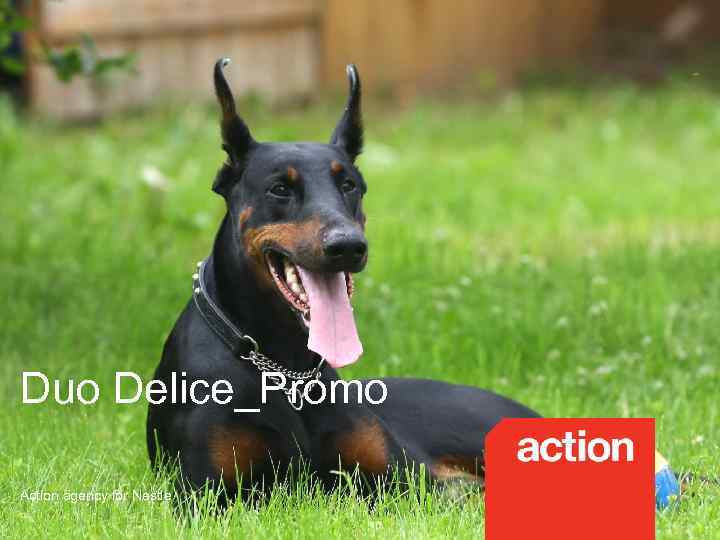 Duo Delice_Promo Action agency for Nestle 