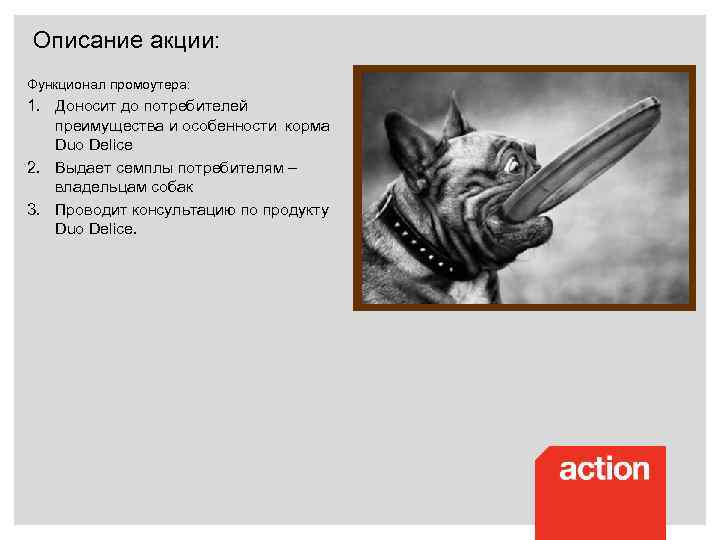 Описание акции: Функционал промоутера: 1. Доносит до потребителей преимущества и особенности корма Duo Delice
