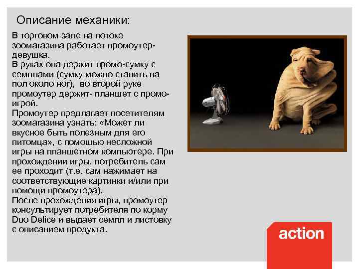 Описание механики: В торговом зале на потоке зоомагазина работает промоутердевушка. В руках она держит