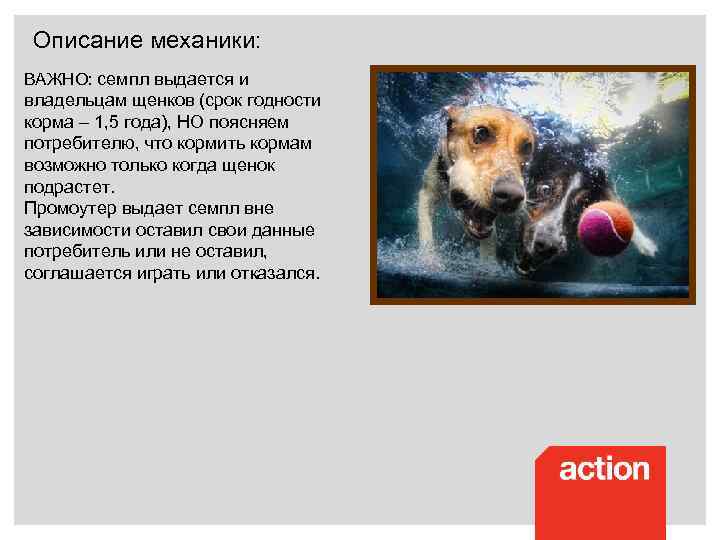 Описание механики: ВАЖНО: семпл выдается и владельцам щенков (срок годности корма – 1, 5