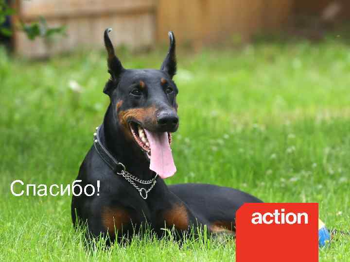 Спасибо! 