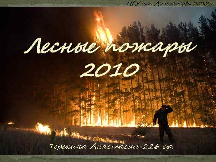 МГУ им. Ломоносова 2012 г. Лесные пожары 2010 Терехина Анастасия 226 гр. 