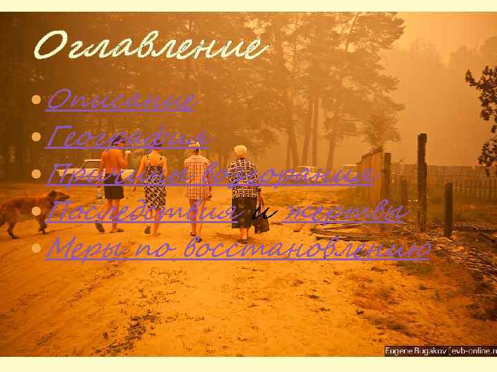 Оглавление Описание География Причины возгорания Последствия и жертвы Меры по восстановлению 