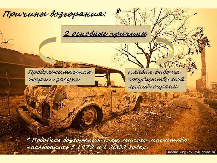 Причины возгорания: 2 основные причины Продолжительная жара и засуха Слабая работа государственной лесной охраны
